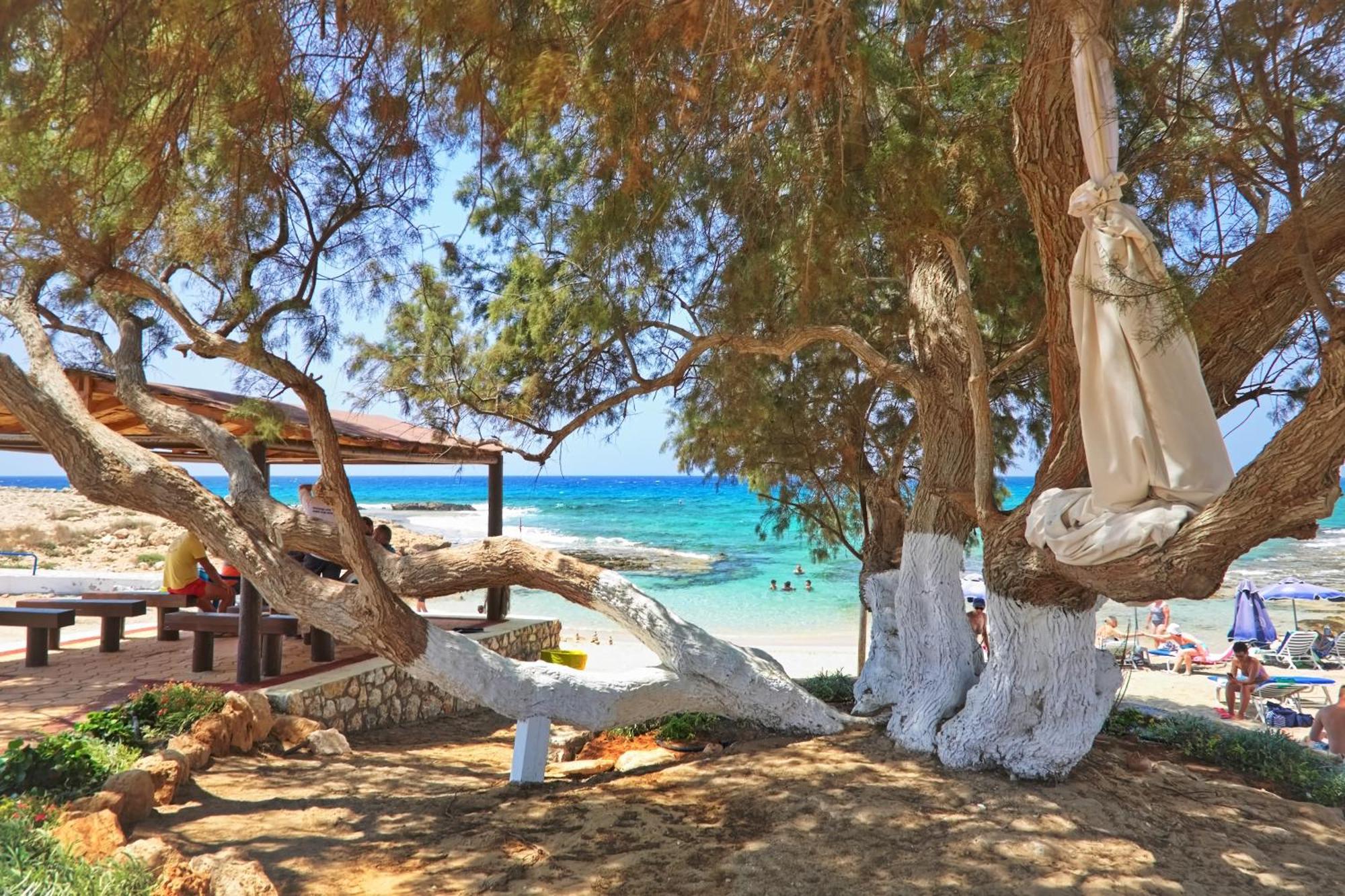 Villaer Sea Pearl Seaview - Oriana Ajía Nápa